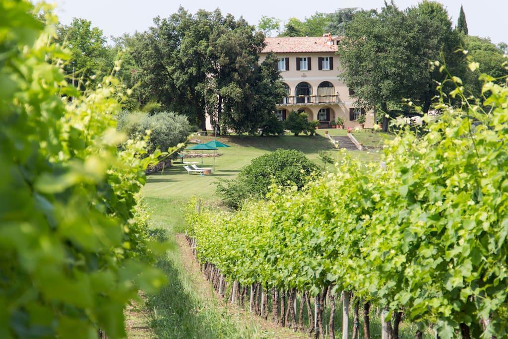 Villa Marani Rovolon ภายนอก รูปภาพ